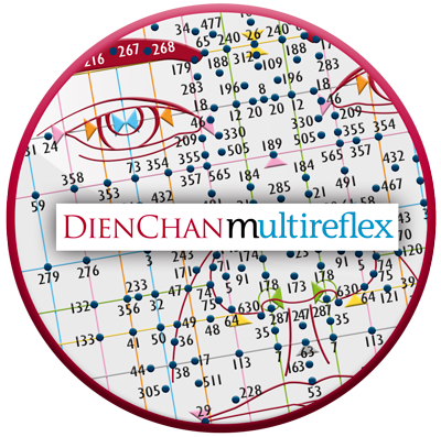 Dien Chan Multireflex